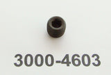 PIPE PLUG FITTING (3000-4603)