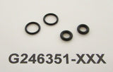 FUSION AP CHECK VALVE O-RING KIT (G246351)