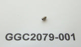 P2 SET SCREW (GGC2079)