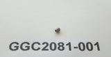 P2 SET SCREW (GGC2081)