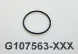 P2 O-RING (G107563)